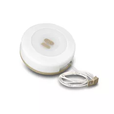 Светодиодная лента CAMELION RS915-CBH