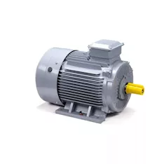 Электродвигатель ESQ PR 200 L6 GST-Б1-S12-IE2 IM1001 01.01.223792