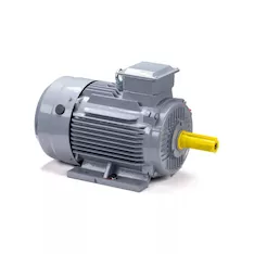 Электродвигатель ESQ PR 132 S6 GST-Б1-S12-IE2 IM1081 01.01.224021
