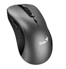 Компьютерная мышь Genius Ergo 8100S Iron Grey