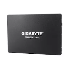 Твердотельный накопитель внутренний Gigabyte GSTFS31256GTND