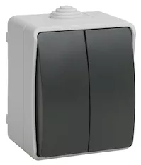 Выключатель 2-клавишный IEK FORS 10А IP54 ВС20-2-0-ФСр EVS20-K03-10-54-DC 