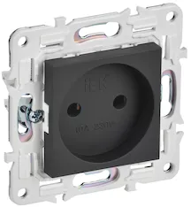 Розетка IEK SKANDY 10А SK-R02G SK-R10-10-K53 
