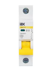 Автоматический выключатель IEK ВА47-29 1P B MVA20-1-010-B