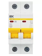 Автоматический выключатель IEK ВА47-29 2P B MVA20-2-006-B