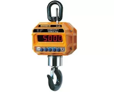 Крановые весы CAS Caston III-20