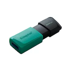USB-накопитель Kingston DTXM/256GB