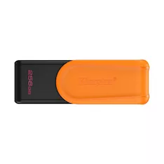 USB-накопитель Kingston DTXS/256GB 256GB