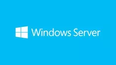 Windows Server Standard 2019 64Bit English DVD 10 Client 16 Core (BOX)