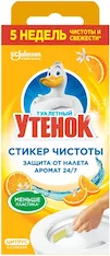 Очиститель унитаза ТУ 4620000430070