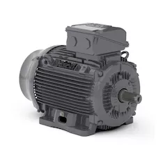 Асинхронный электродвигатель WEG WGOST-L100L 16257924