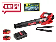 Аккумуляторная воздуходувка WORTEX BB 2536 D ALL1 1333405
