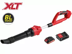 Аккумуляторная воздуходувка WORTEX BB 2018-1 D ALL1 XLT SET 1334646