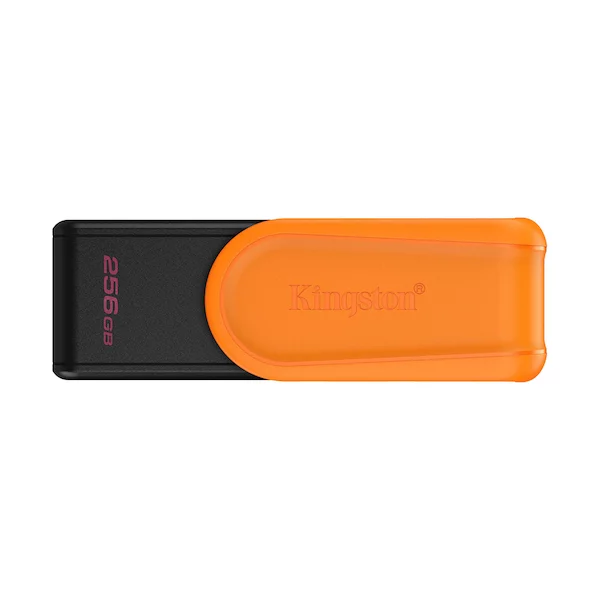 USB-накопитель Kingston DTXS/256GB 256GB