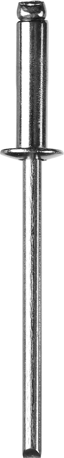 Заклепки ЗУБР 313166-40-10