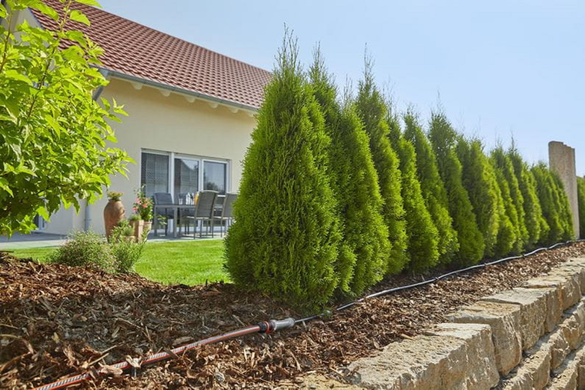 Фото 4