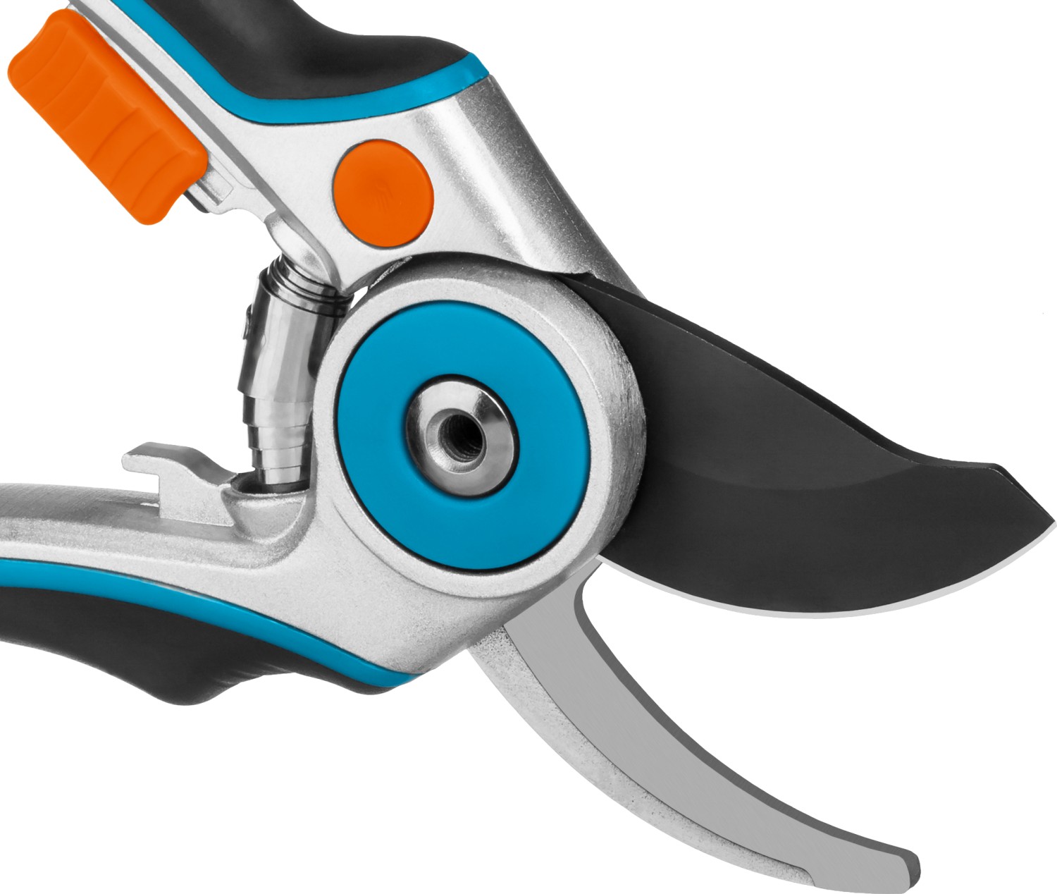 Фото 5